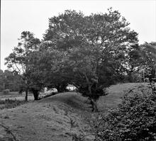 Hay Railway, Hay-on-Wye. Gypsy Castle. September 1961 (13)