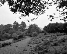 Hay Railway, Hay-on-Wye. The Warren. September 1961 (14)