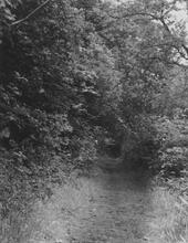 Portreath Tramroad. Bridge. May 1954 (10)