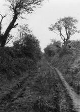 Portreath Tramroad. View leaving Cambrose Farm. May 1954 (12)