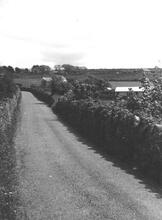 Portreath Tramroad. View looking east along the top of the embankment across Forge Valley. May 1954 (14)