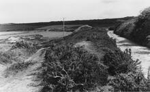 Portreath Tramroad. East of Wheal Plenty, looking towards Wheal Rose at old shaft. May 1954 (18)