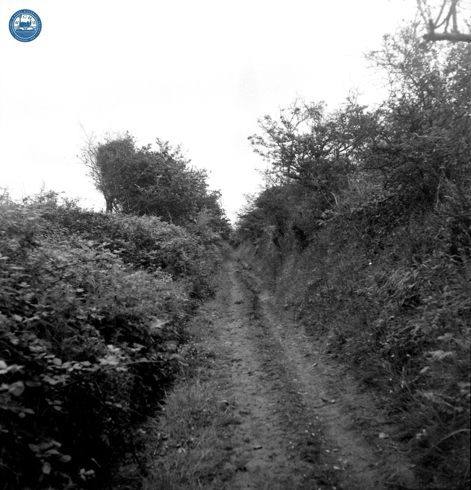 Portreath Tramroad. Chygarder. Cutting west of Cambrose Farm.  May 1954 (11)