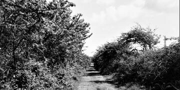 Early Railways/Tramroads in the South West