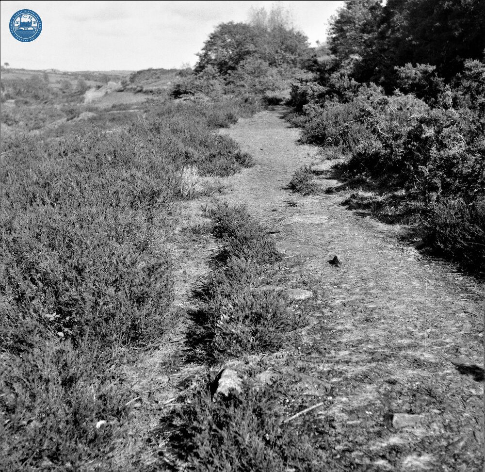 Portreath Tramroad. Stone blocks in situ on the approach to Poldice Mines.  May 1954 (27)