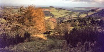 West Somerset Mineral Railway