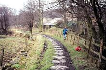 Silkstone Waggonway. Stone sleepers. 15 March 1981