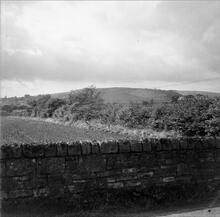 Halbeath Railway, Greenspark, Inverkeithing. Grid ref. NT 133843. September 1964.