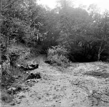 Halbeath Railway, [near Rosebank, approx. grid reference NT 133846.]  September 1964