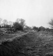 Horsehay Tramroad. Dawley, near Waggoners Fold, looking North. 04 June 1956
