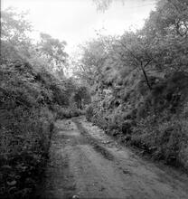 Madeley Wood Tramroad. Madeley. Remains of overbridge. 04 June 1956