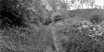 Coalbrookdale District Tramroads (see map & accompanying descriptions for details)