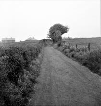Madeley Wood Tramroad.  Brockholes. 04 June 1956