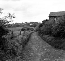 Horsehay Tramroad. Dawley Bank looking North. 04 June 1956