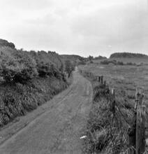 Horsehay Tramroad. Dawley Bank looking South. 04 June 1956