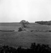 Steeraway Tramway. Probable course of the line East of Limekiln Lane.  April 1957