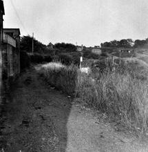 Horsehay Tramroad, Dawley Branch below Station Road, Horsehay. 22 July 1961
