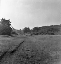 Horsehay Tramroad, Dawley Branch. Looking West from level crossing over Doseley Road.  22 July 1961