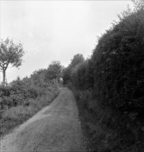 Coalmoor Tramroad. Stoneyhill, looking South from Junction towards Jiggers Bank.  22 July 1961