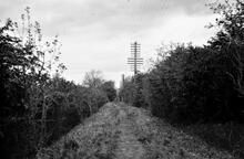 Stratford & Moreton Railway, Stratford-on-Avon. Straight stretch of trackbed on an embankment. 20 May 1932 (9)