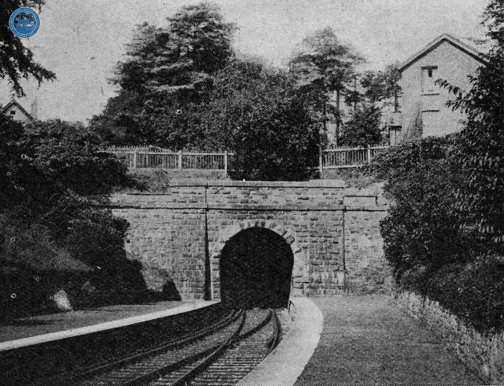 Talyllyn Junction station (BND @ 3m 77ch). East end of Tal-y-Llyn Tunnel at Talyllyn station.