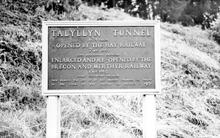 Talyllyn Tunnel Noticeboard (BND @ c. 4m)