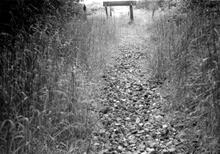 Near Henley-in-Arden Goods station (HLP @ approx 2½mp), looking west. 4 June 1961.