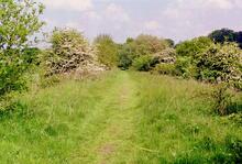 Newbury to Didcot line. Low embankment south of Hampstead Norreys (ELR - NDL @ approx 6¾mp). Summer 2000