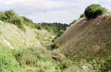 Newbury to Didcot line. Deep cutting north of Chilton (ELR - NDL @ approx 13m 40ch). Summer 2000