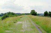 Newbury to Didcot line. High embankment north of Upton (ELR - NDL @ approx 15¼mp). Summer 2000