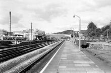 Totnes (MLN1 @ 222m 66ch). Looking north-east. 14 September 1979