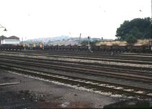 017183  BR Wagons in siding, Mermaid, brake van, grampus.  Worcester Shrub Hill 31 August 1983 (OWW @ 120m 42ch)