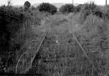 The Shipston-on-Stour branch, looking west to the A429 level crossing near Shipston. 5 June 1961
