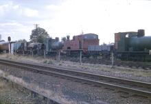 017035  Line of preserved industrial steam locos. Quainton Road 25 August 1975