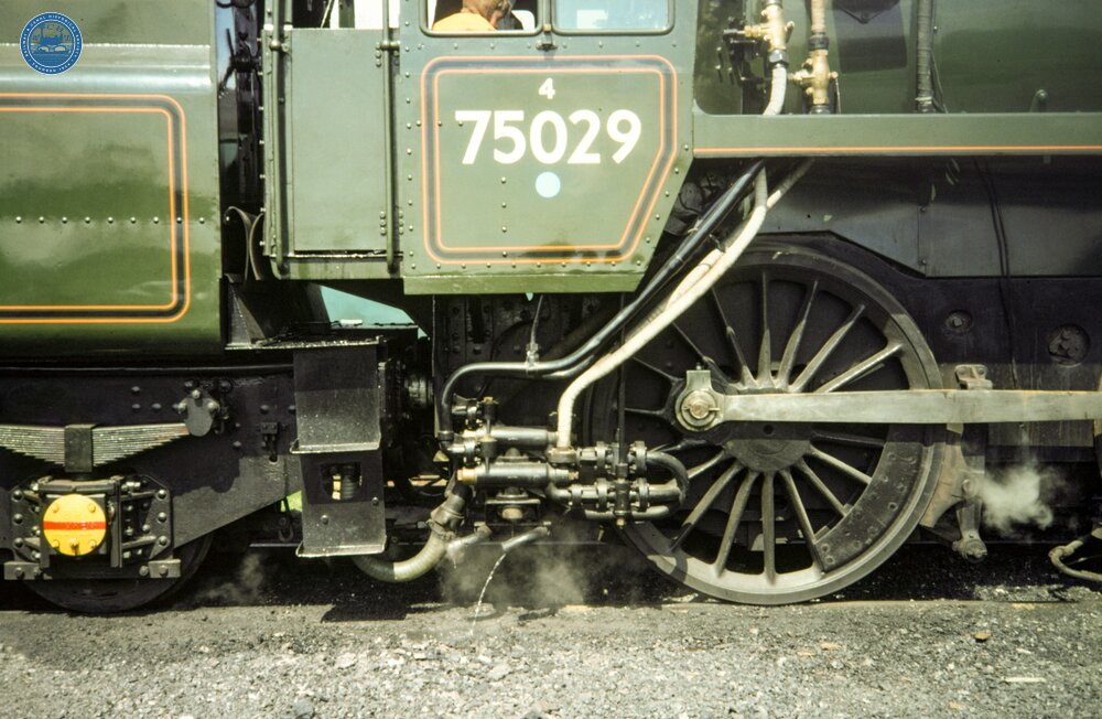 The Green Knight - 75029