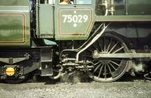 The Green Knight - 75029
