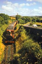 Isle of Man Railway. Near Ballasalla. 22 July 1965