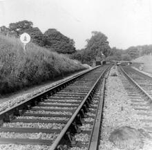 Delamere (CDM2 @ 28m 11ch). 04 June 1960