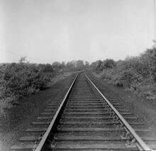 Winsford & Over branch. Passing through Newchurch Common. 05 June 1960