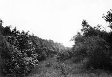 Middlewood Higher (MRH @ 7m 33ch). 11 June 1960