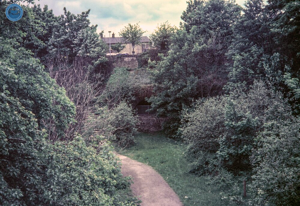 Hayfield Branch. Hayfield Tunnel. 05 June 1986
