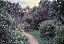 Hayfield Branch. Hayfield Tunnel. 05 June 1986