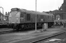 Hereford (SHL @ 51m 03ch). Class 25/1 25043.  (012771)