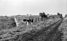 Trackbed of Bloore's Siding (CHP1 @ 15m 13ch)