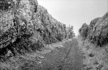 Cutting West of Hoe Grange Quarry, looking towards Longcliffe, Feb 1969. (CHP1 @ 16m 42ch)