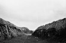 Near Cotesfield Farm, cutting on original alignment. 30 April 1932 (024370-44)