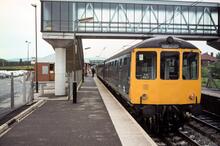 Hazel Grove (BEJ @ 2m 21ch) looking East. 23 May 1981