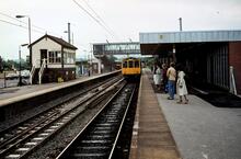 Hazel Grove (BEJ @ 2m 21ch) looking East. 23 May 1981