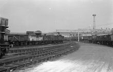 012055  Rugby Coal Yard (LEC1 @ approx 82m 50ch). General view.  8 August 1975 (Ref: 012055)