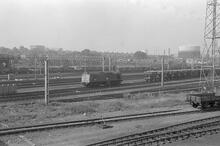 02065  Rugby Goods Yard (LEC1 @ approx 82m 50ch). Class 25/3 no. 25310. 8 August 1975 (Ref: 012065)